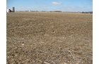 Property photo 23 - 127 Acres Offered in 4 Tracts